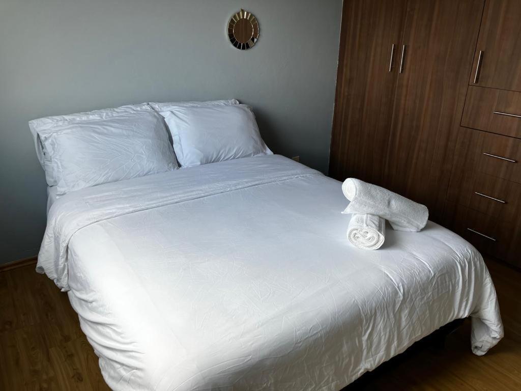 Incredible Executive Roma Norte 2br Mexico-stad